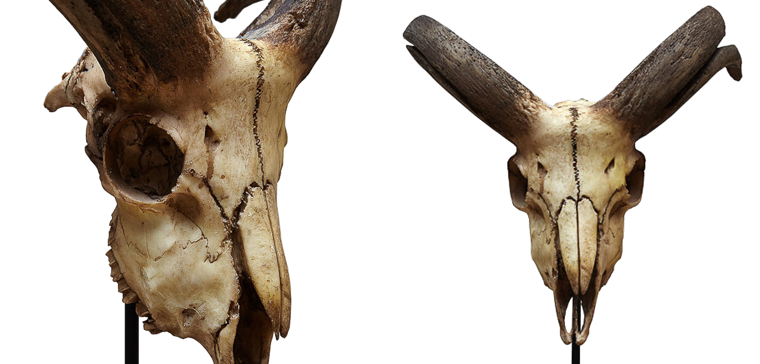 Аксессуар Goat Skull - фото