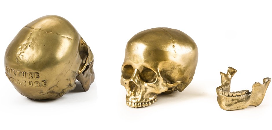 Статуэтка Seletti Wunderkrammer Human Skull Статуэтка Seletti Wunderkrammer Human Skull - Loft-Concept в Грозном