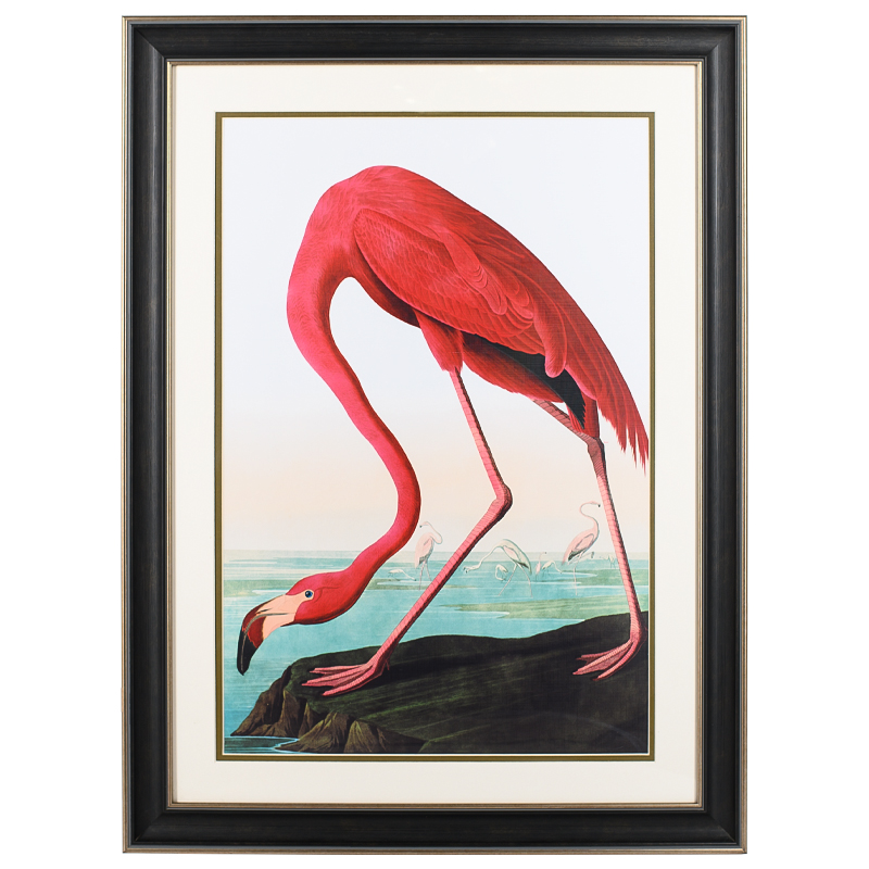 Постер Red Flamingo Мульти Постер Red Flamingo Мульти в Грозном | Loft Concept