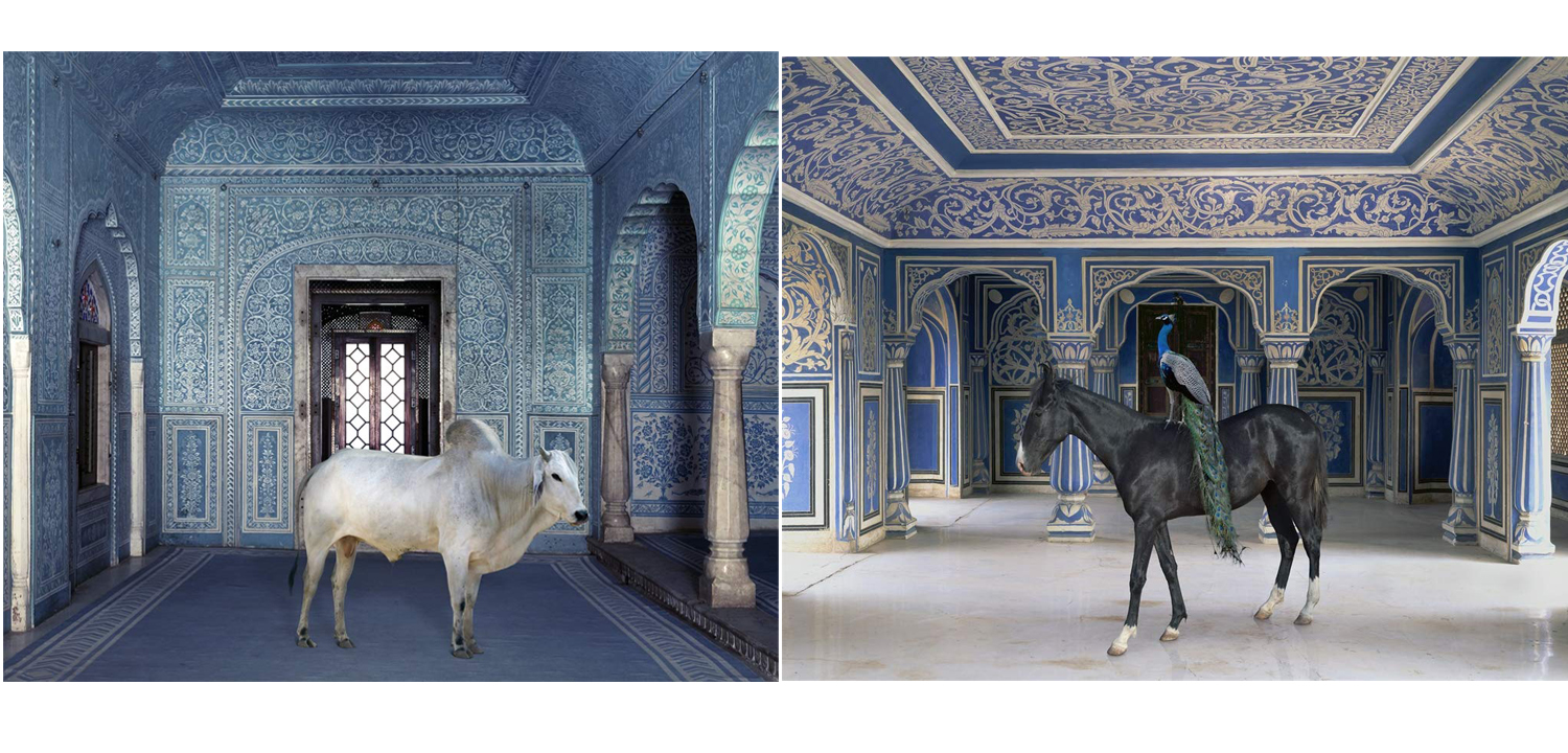 Очень редкое коллекционное издание KAREN KNORR INDIA SONG - фото