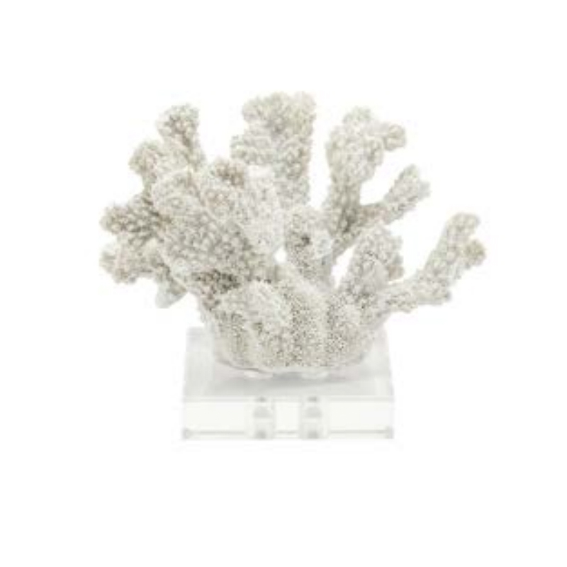 Статуэтка White Coral 12 Белый Прозрачный Статуэтка White Coral 12 Белый Прозрачный в Грозном | Loft Concept