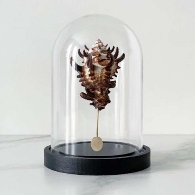 Статуэтка Vasum Tubiferum Glass Cloche Статуэтка Vasum Tubiferum Glass Cloche в Грозном | Loft Concept