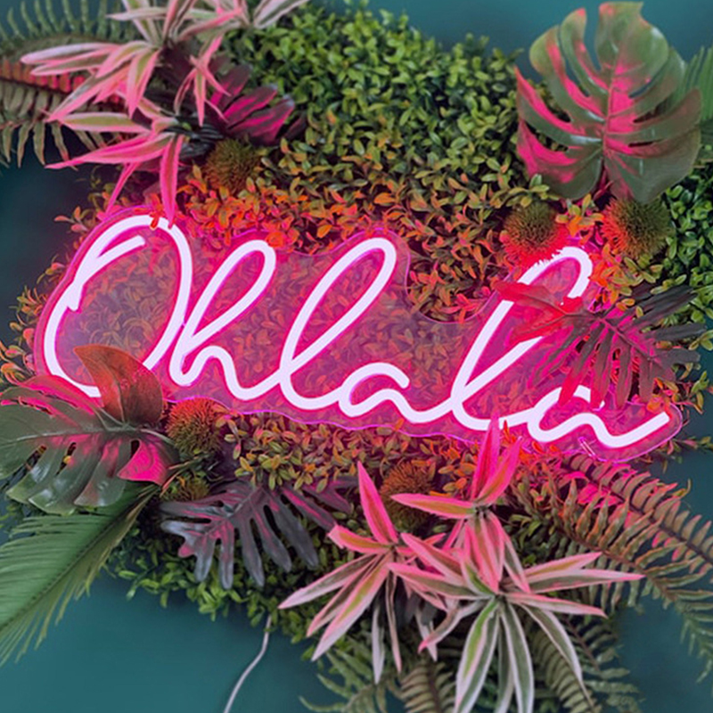 Неоновая настенная лампа Oh La La Neon Wall Lamp Розовый Розовый Прозрачный Неоновая настенная лампа Oh La La Neon Wall Lamp Розовый Розовый Прозрачный в Грозном | Loft Concept
