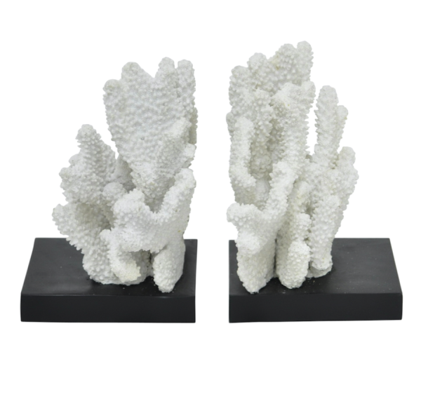 Держатели для книг White Coral Белый Держатели для книг White Coral Белый в Грозном | Loft Concept