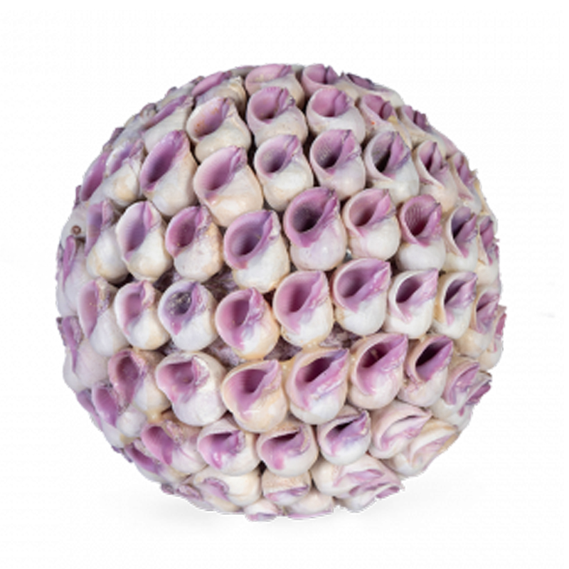 Статуэтка Coral Decor ball Коричневый Статуэтка Coral Decor ball Коричневый в Грозном | Loft Concept