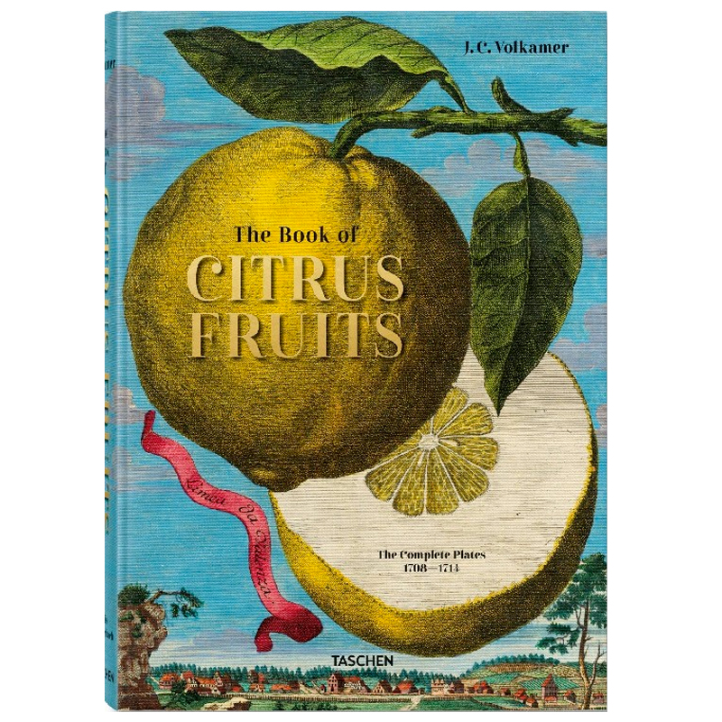 Volkamer Citrus Fruits Volkamer Citrus Fruits в Грозном | Loft Concept
