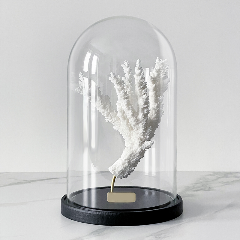 Статуэтка Natural Coral Branch Glass Cloche Статуэтка Natural Coral Branch Glass Cloche в Грозном | Loft Concept