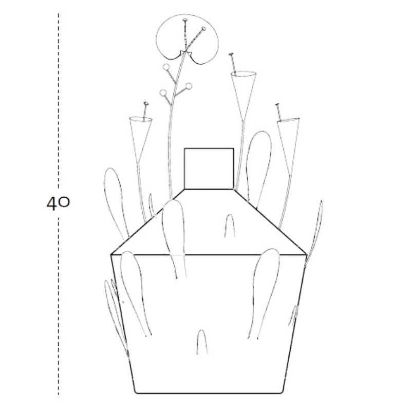 Ваза Далла Терра в Грозном