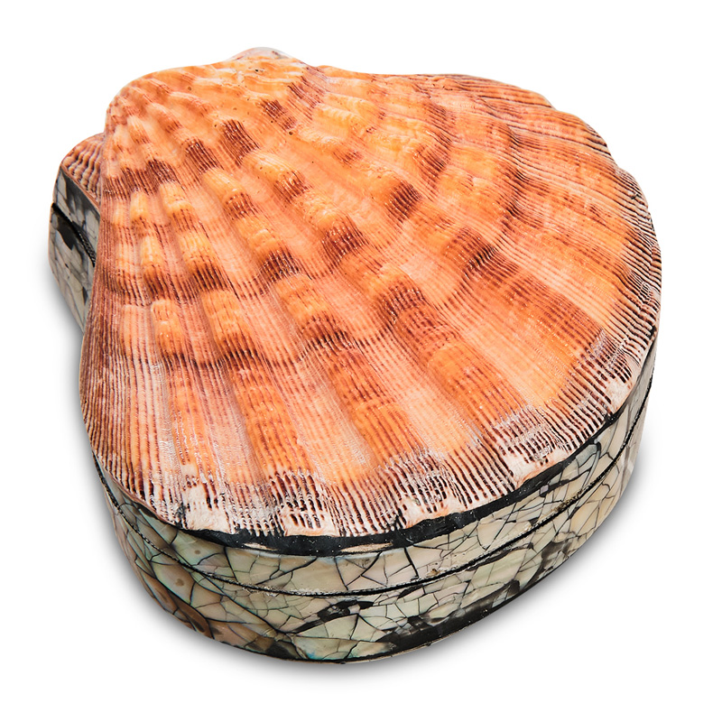 Шкатулка Shell Box II Коралловый Шкатулка Shell Box II Коралловый в Грозном | Loft Concept