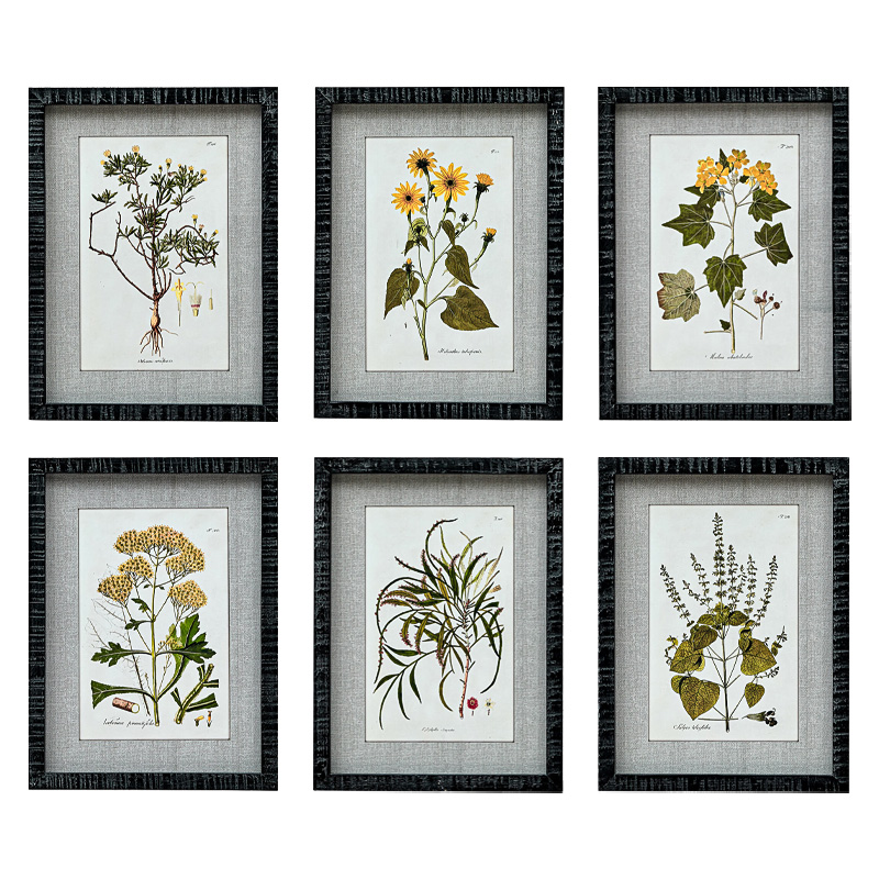 Набор постеров Herbarium Yellow Flowers Мульти Набор постеров Herbarium Yellow Flowers Мульти в Грозном | Loft Concept