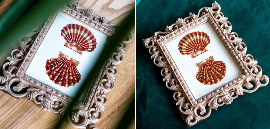 Постер Red Scallop Poster - Loft-Concept в Грозном