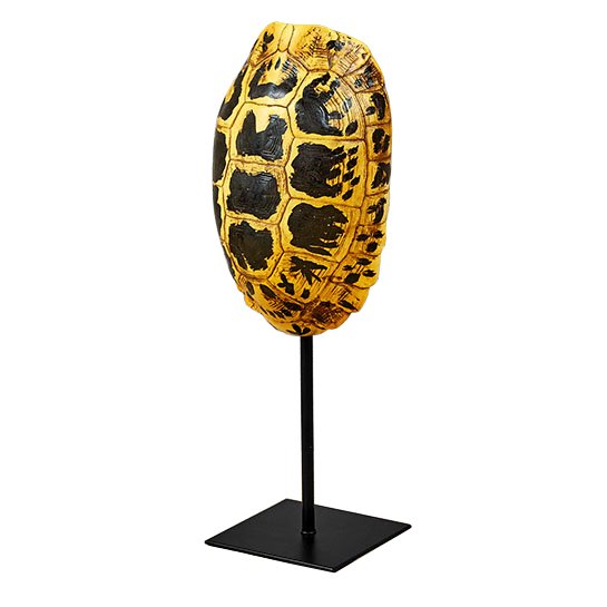 Статуэтка Yellow Tortoise Shell Черный Желтый Статуэтка Yellow Tortoise Shell Черный Желтый в Грозном | Loft Concept