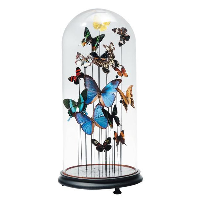 Статуэтка 15 Butterflies Glass Cloche Статуэтка 15 Butterflies Glass Cloche в Грозном | Loft Concept