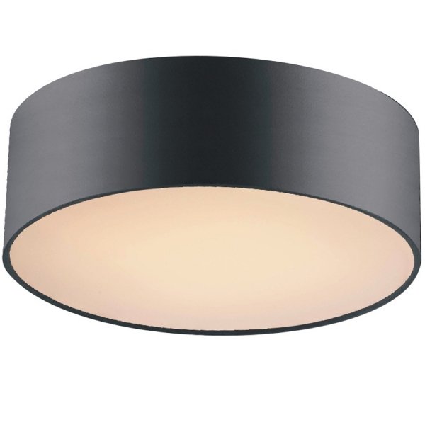 Потолочный светильник Cylindra Black 30 Черный Потолочный светильник Cylindra Black 30 Черный в Грозном | Loft Concept