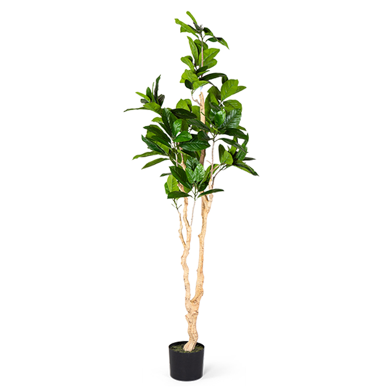 Декоративный искусственный цветок Decorative Tree h187 Зеленый Декоративный искусственный цветок Decorative Tree h187 Зеленый в Грозном | Loft Concept