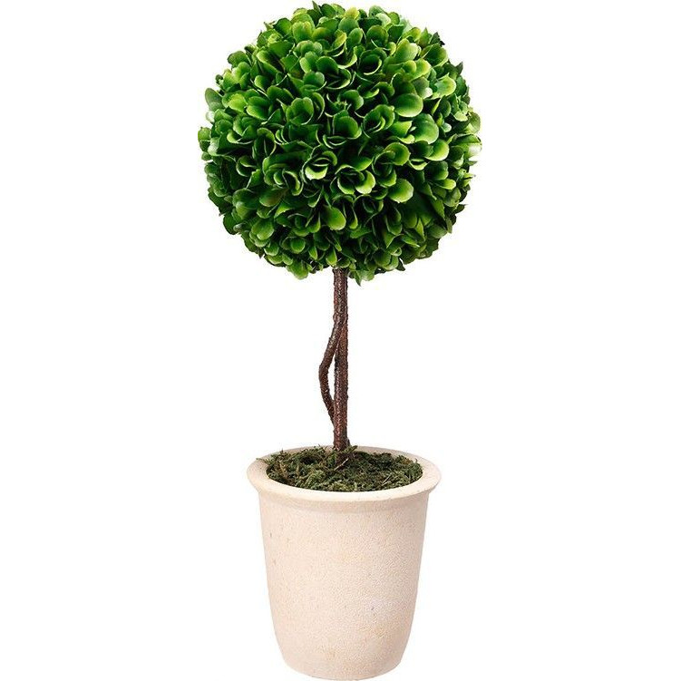 Декоративный искусственное растение Single boxwood Зеленый Бежевый Коричневый Декоративный искусственное растение Single boxwood Зеленый Бежевый Коричневый в Грозном | Loft Concept
