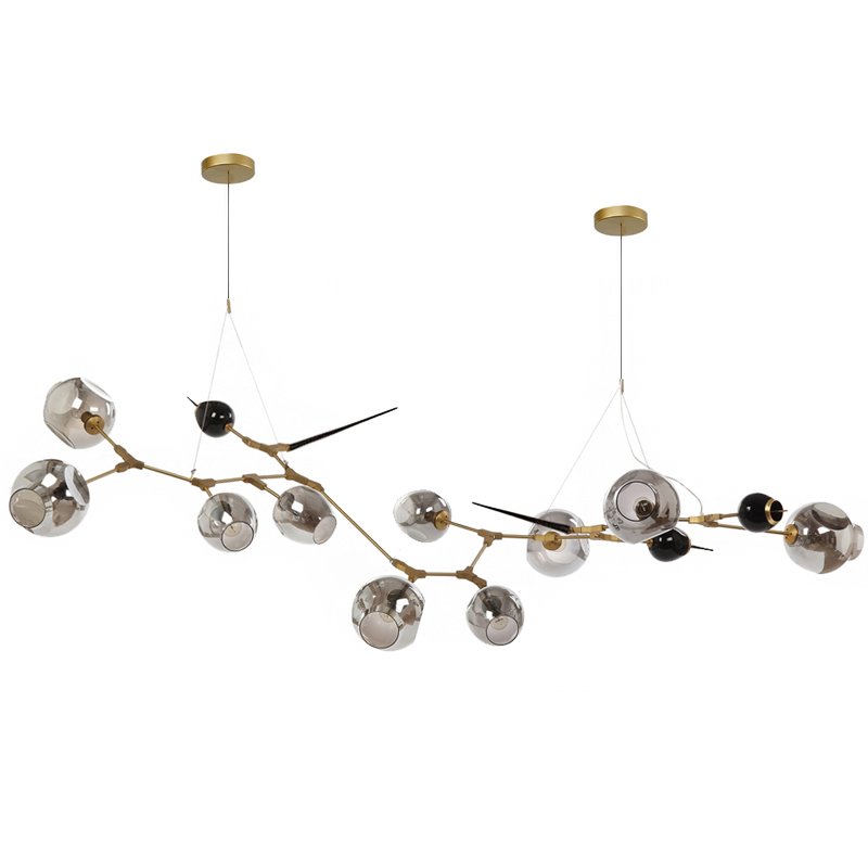 Люстра Chandelier bubbles and thorns Золотой Прозрачное Стекло Прозрачный черный Люстра Chandelier bubbles and thorns Золотой Прозрачное Стекло Прозрачный черный в Грозном | Loft Concept