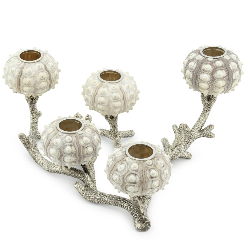 Подсвечник CANDLEHOLDER SEAURCHIN X5 Бежево-серый Серебряный Подсвечник CANDLEHOLDER SEAURCHIN X5 Бежево-серый Серебряный в Грозном | Loft Concept