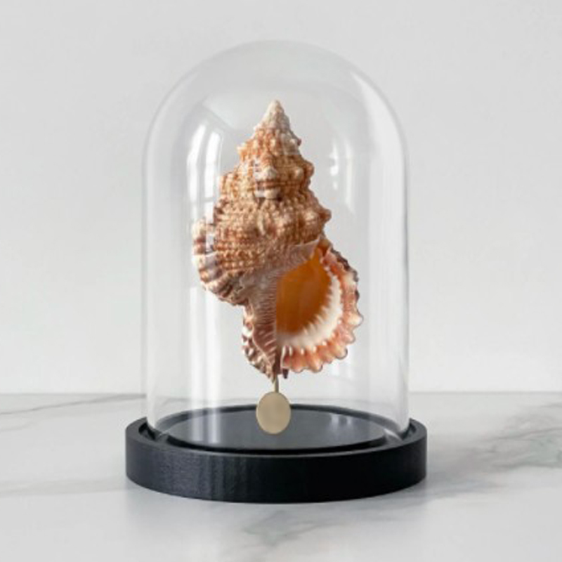 Статуэтка Bursa Rubeta Glass Cloche Статуэтка Bursa Rubeta Glass Cloche в Грозном | Loft Concept
