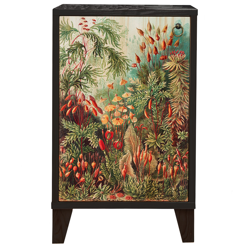 Тумба с цветочным изображением Floral Print Nighstand Черный Мульти Тумба с цветочным изображением Floral Print Nighstand Черный Мульти в Грозном | Loft Concept