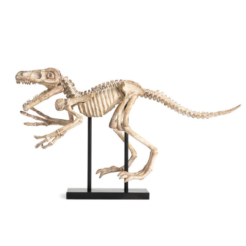 Статуэтка Dinosaur Skeleton big Бежево-серый Статуэтка Dinosaur Skeleton big Бежево-серый в Грозном | Loft Concept
