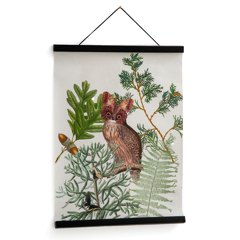 Постер Poster of Plants & Birds сова Мульти Постер Poster of Plants & Birds сова Мульти в Грозном | Loft Concept