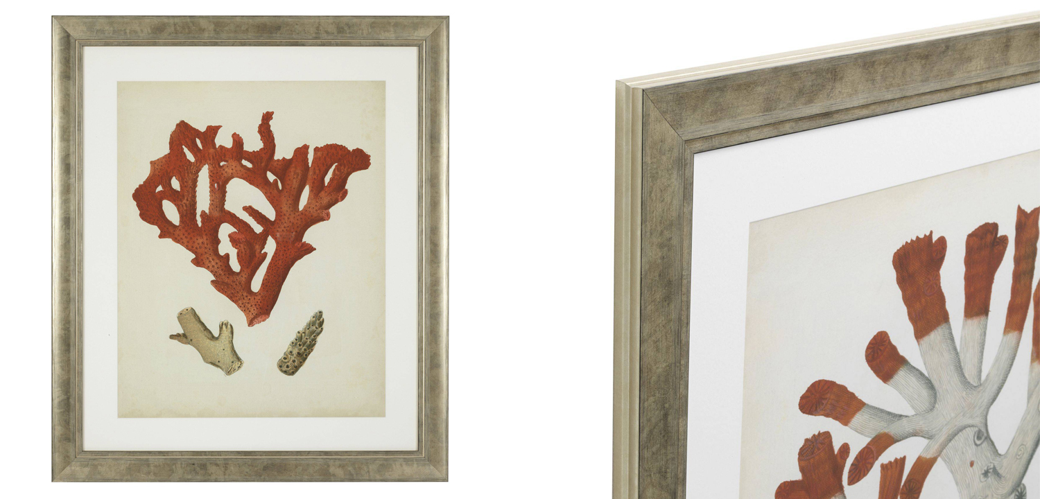 Комплект постеров Eichholtz Prints Antique Red Corals set of 6 - фото