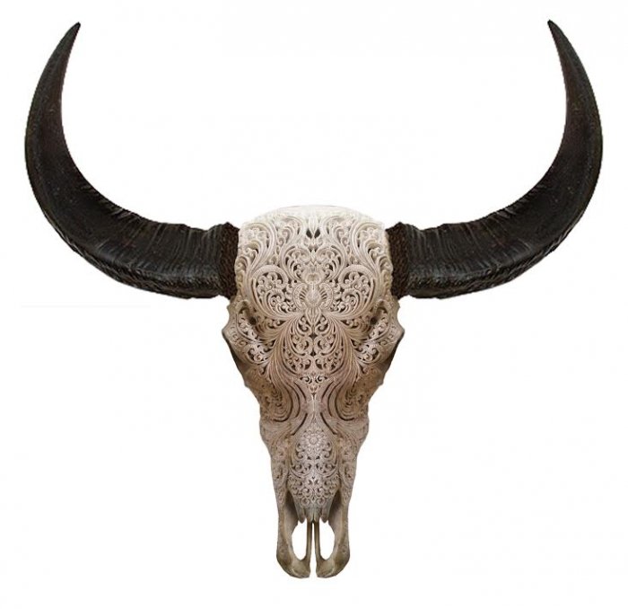Череп буйвола с резьбой Buffalo Skull Tribal Carving Белый Череп буйвола с резьбой Buffalo Skull Tribal Carving Белый в Грозном | Loft Concept