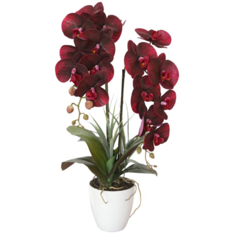 Искусственная орхидея Мультифлора burgundy Бордовый Искусственная орхидея Мультифлора burgundy Бордовый в Грозном | Loft Concept