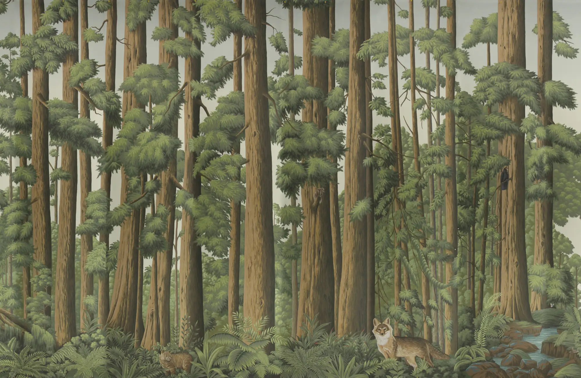 Обои ручная роспись Redwoods Colourway SC-281 on scenic paper Обои ручная роспись Redwoods Colourway SC-281 on scenic paper - постер Loft-Concept в Грозном