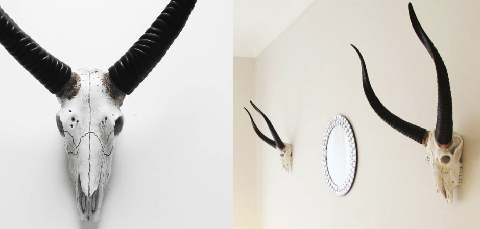 Череп антилопы с черными рогами - Loft-Concept в Грозном
