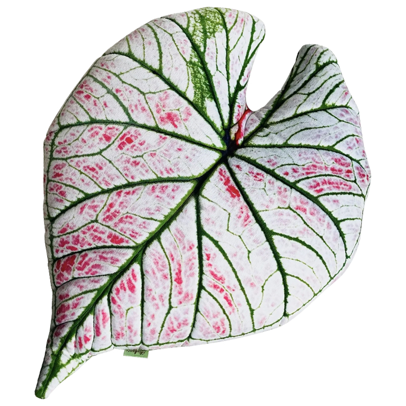 Декоративная подушка Botanical Cushion Caladium Rosebud Зеленый Бежевый Розовый Декоративная подушка Botanical Cushion Caladium Rosebud Зеленый Бежевый Розовый в Грозном | Loft Concept