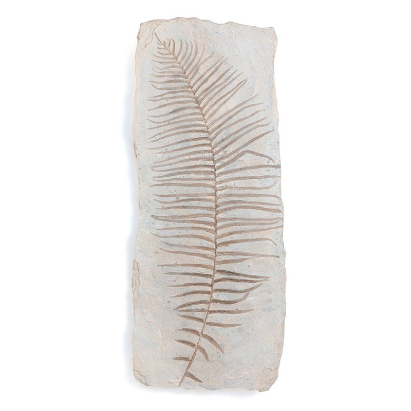 Аксессуар на стену Tropical Leaf Бежево-серый Аксессуар на стену Tropical Leaf Бежево-серый в Грозном | Loft Concept