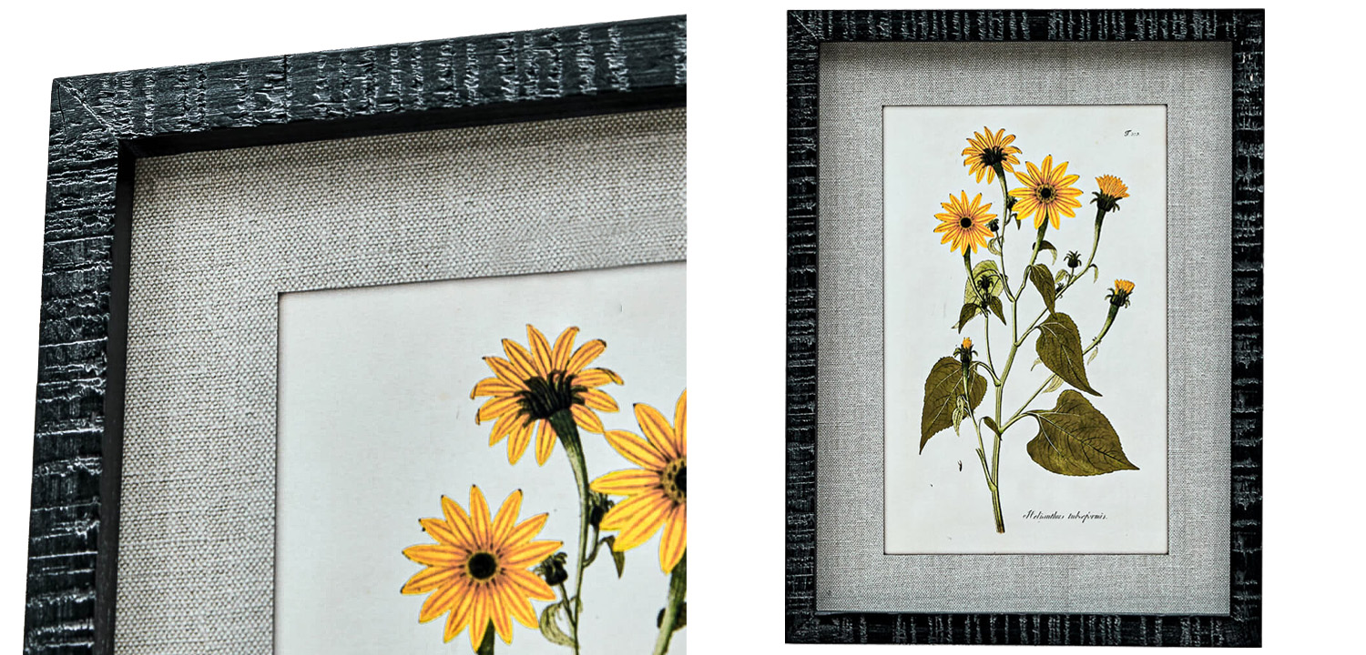 Набор постеров Herbarium Yellow Flowers - фото №2