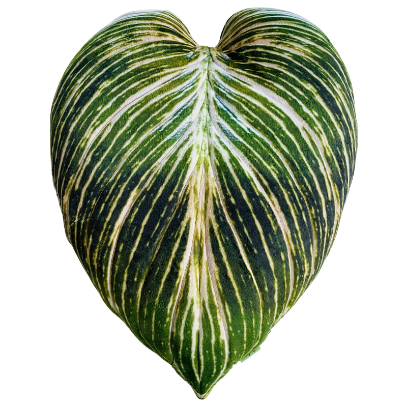 Декоративная подушка Botanical Cushion Philodendron Birkin Зеленый Салатовый Белый Декоративная подушка Botanical Cushion Philodendron Birkin Зеленый Салатовый Белый в Грозном | Loft Concept