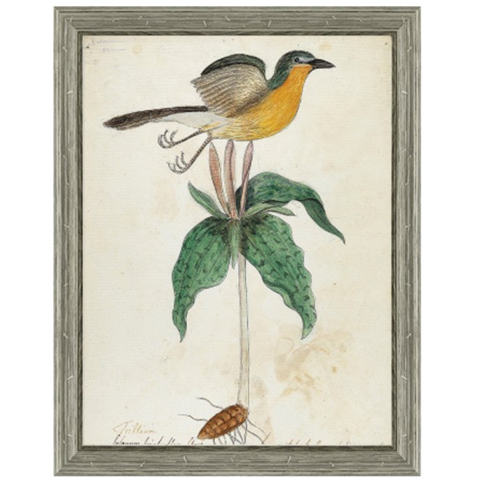Постер Bird On Flower Постер Bird On Flower в Грозном | Loft Concept