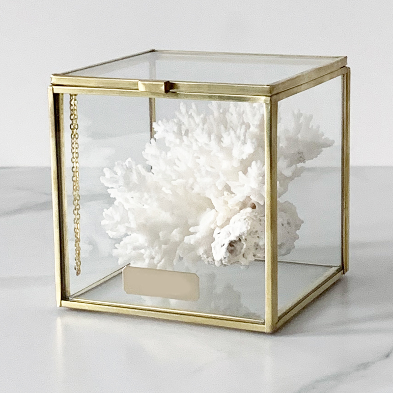 Статуэтка Natural Coral Glass Box S Статуэтка Natural Coral Glass Box S в Грозном | Loft Concept