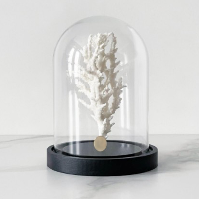 Статуэтка White Coral Glass Cloche Статуэтка White Coral Glass Cloche в Грозном | Loft Concept