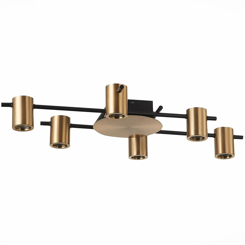 Потолочный светильник Aigle Ceiling Light 6 Черный Латунь Потолочный светильник Aigle Ceiling Light 6 Черный Латунь в Грозном | Loft Concept