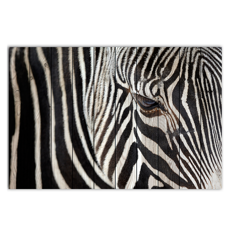 Постер Zebra Постер Zebra в Грозном | Loft Concept