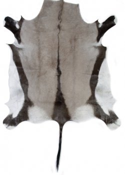 Натуральная шкура антилопы Gemsbok Черный Натуральная шкура антилопы Gemsbok Черный в Грозном | Loft Concept