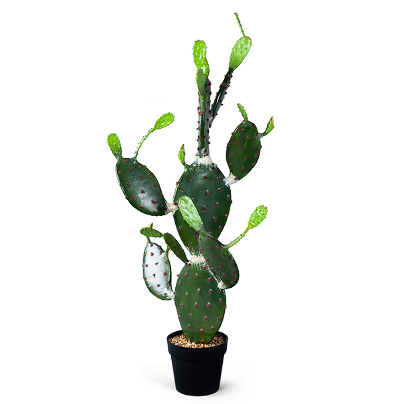 Декоративный искусственный цветок Opuntia Cactus Зеленый Декоративный искусственный цветок Opuntia Cactus Зеленый в Грозном | Loft Concept