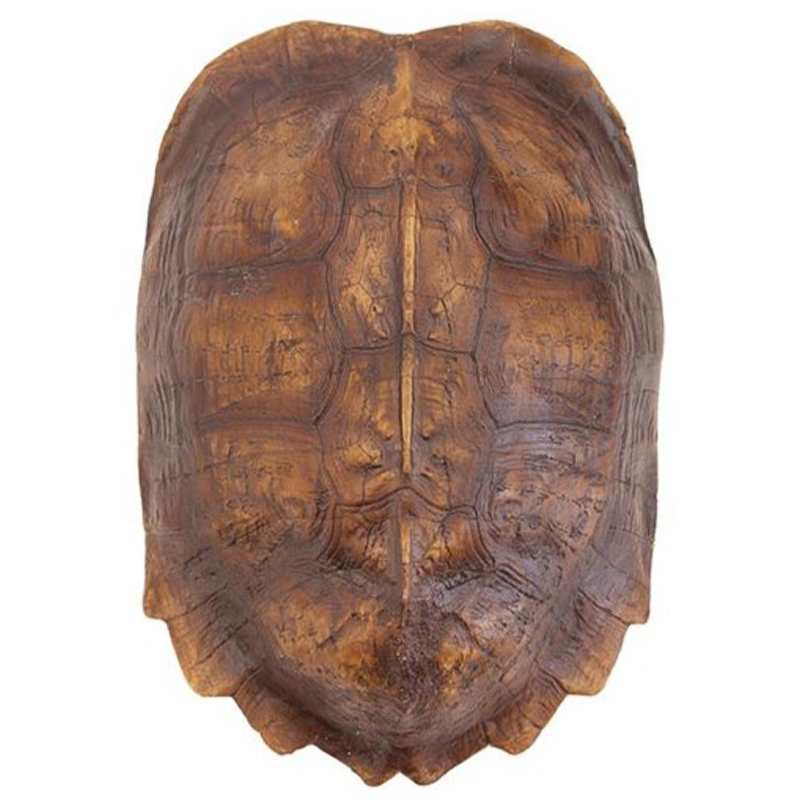 Аксессуар Turtle Shell Natural Light Brown Коричневый Аксессуар Turtle Shell Natural Light Brown Коричневый в Грозном | Loft Concept