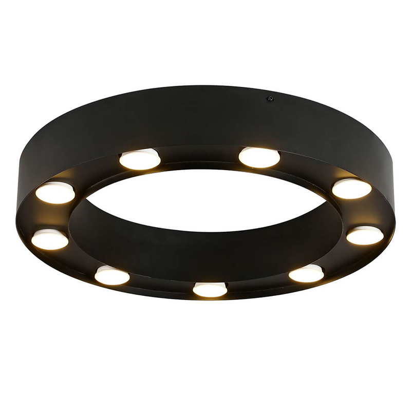 Потолочный светильник Dugan Ceiling Lamp 50 Черный Потолочный светильник Dugan Ceiling Lamp 50 Черный в Грозном | Loft Concept