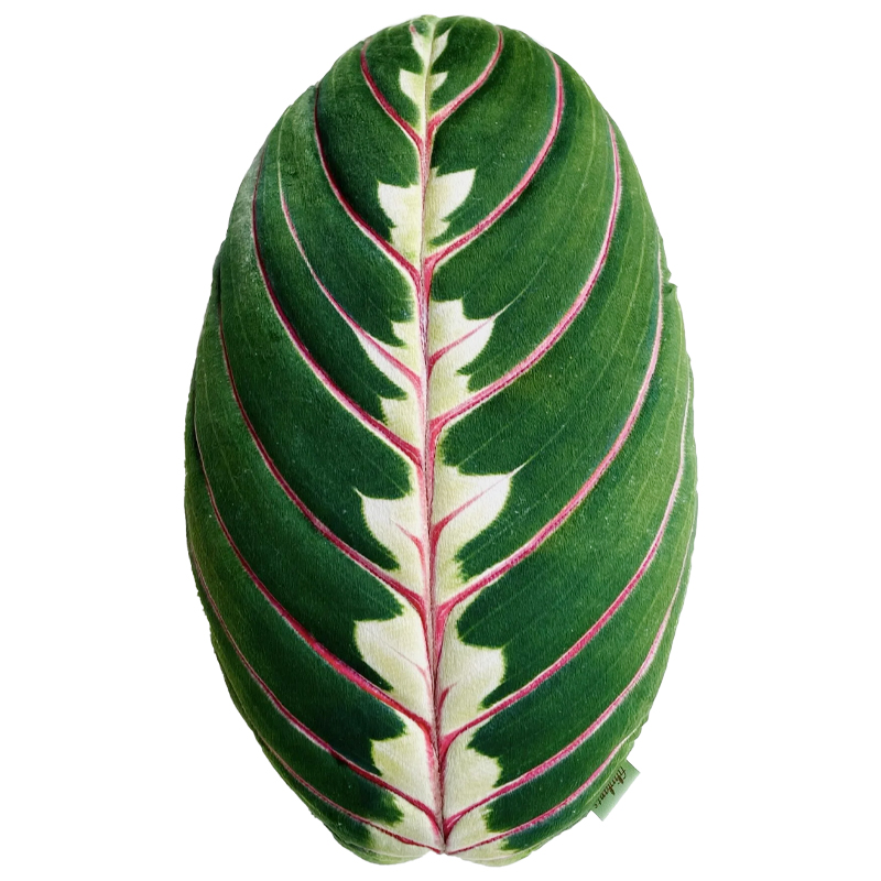 Декоративная подушка Botanical Cushion Maranta Trikolor Зеленый Бургундский красный Декоративная подушка Botanical Cushion Maranta Trikolor Зеленый Бургундский красный в Грозном | Loft Concept