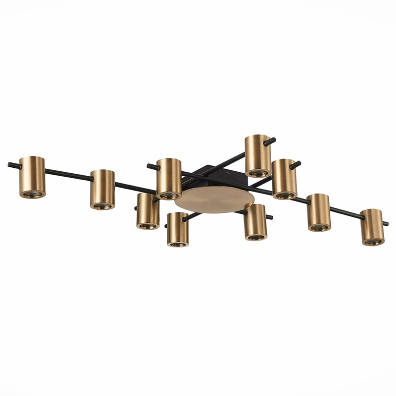 Потолочный светильник Aigle Ceiling Light 10 Черный Латунь Потолочный светильник Aigle Ceiling Light 10 Черный Латунь в Грозном | Loft Concept