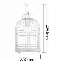 Подвесной светильник Bird Cage Подвесной светильник Bird Cage в Грозном