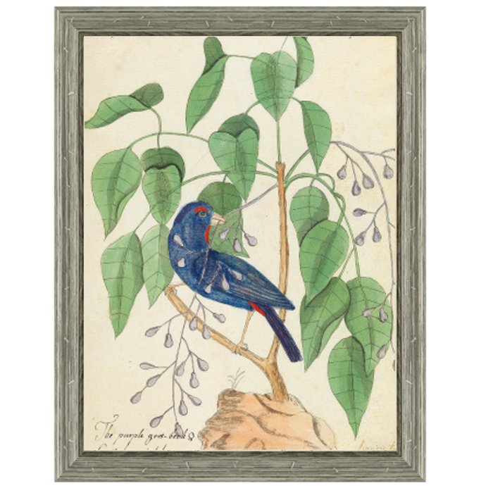 Постер Blue Bird In Foliage Постер Blue Bird In Foliage в Грозном | Loft Concept