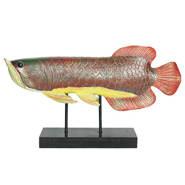 Аксессуар для интерьера рыба Colored Fish Аксессуар для интерьера рыба Colored Fish в Грозном | Loft Concept