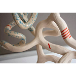 Скульптура «Papañca» варинант исполнения - 3 | Loft Concept в Грозном